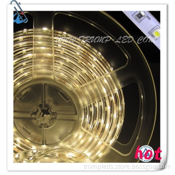 5050 3528 60 IP68 Waterproof SMD Flexible LED Strip 12V